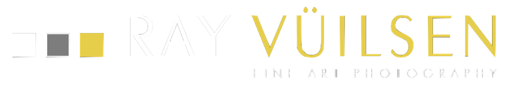 logo-ray-vuilsen